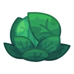 Cabbage icon
